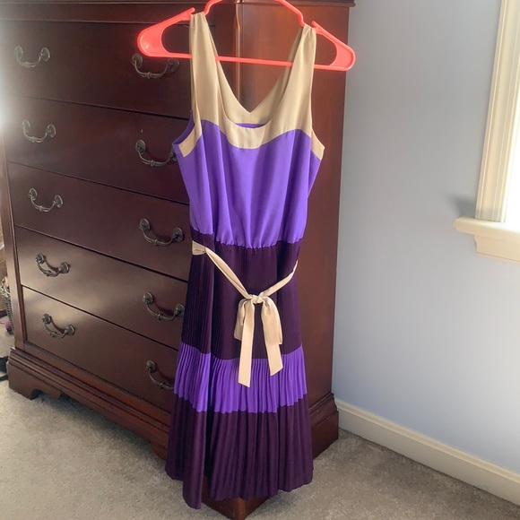 The Limited Dresses & Skirts - Limited Purple and Taupe Pleated Dress